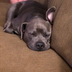 Meet your Posher, Jenna